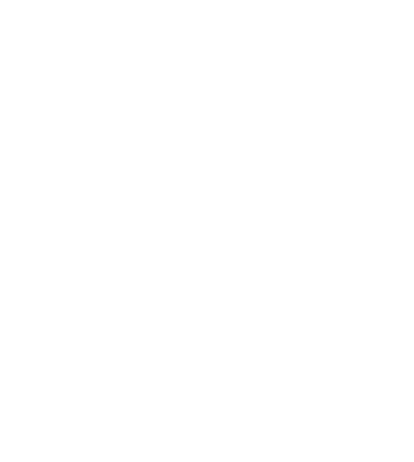 Bode Logo Watermark